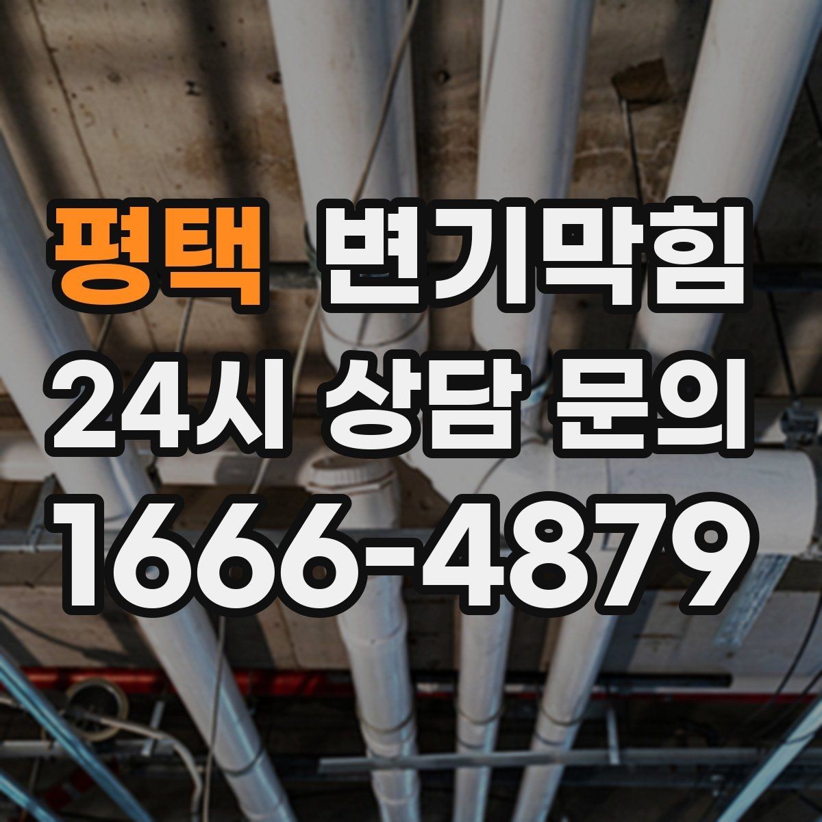 평택 변기막힘 카페 배수구막힘 향이 돌아온 매장