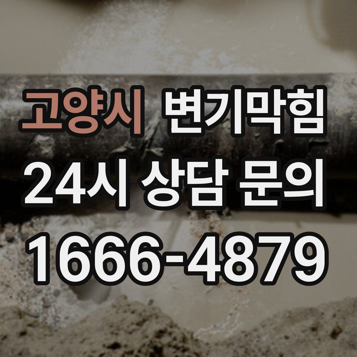 고양시 변기막힘 변기가막혔을때 청소도구 유입 주의
