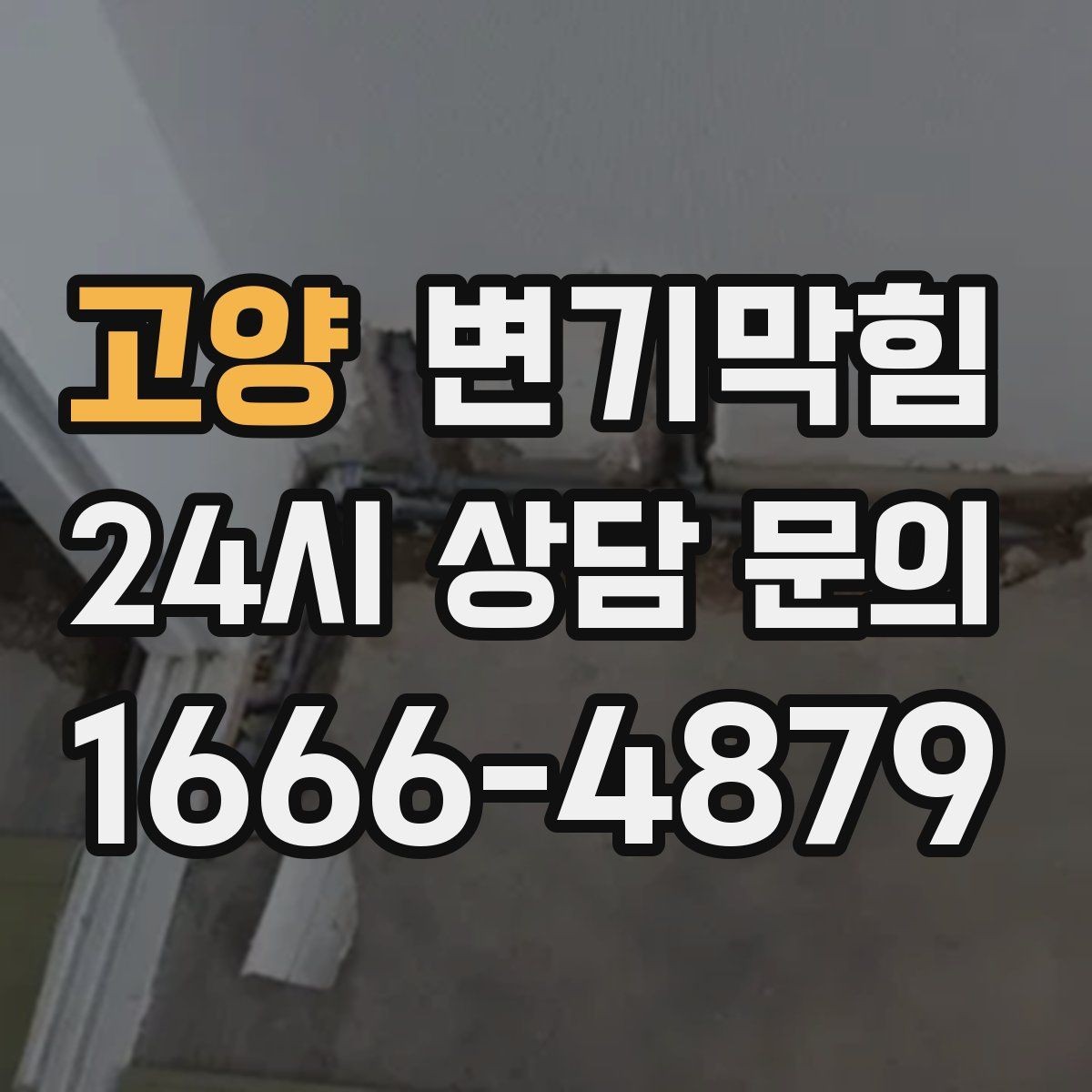 고양 변기막힘 식당 배수구막힘 점심 준비 지킴