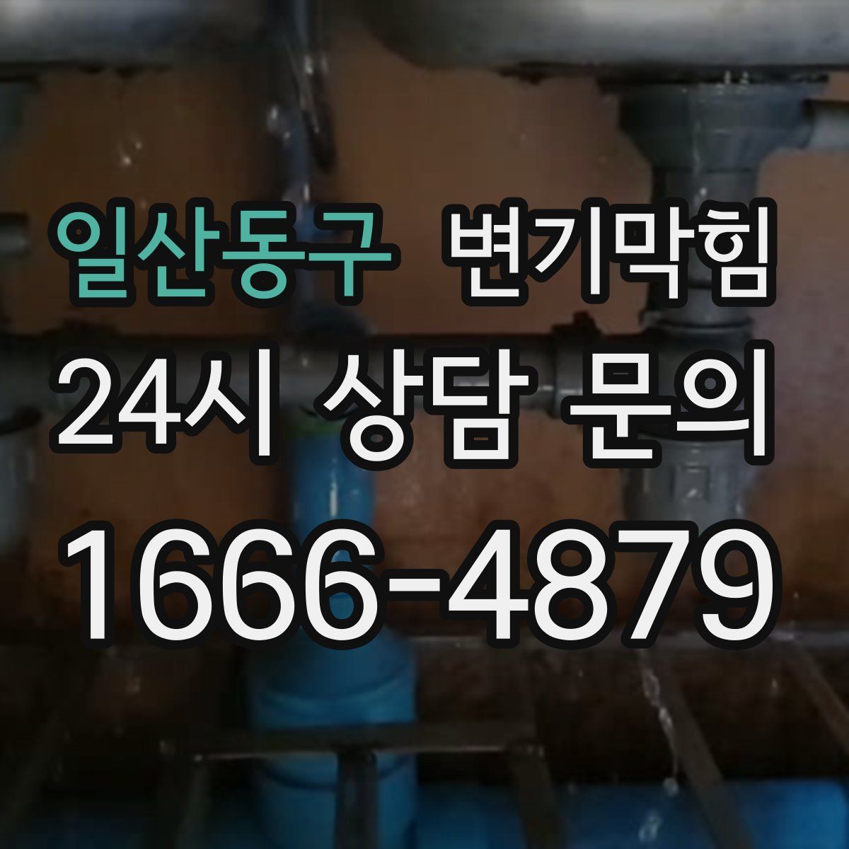 일산동구 변기막힘