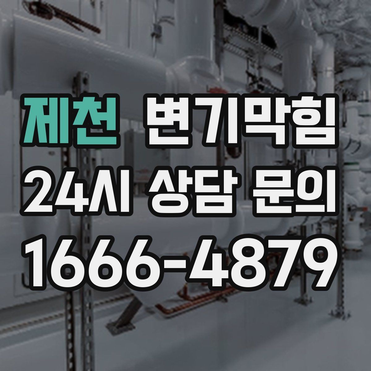 제천 변기막힘 다가구 화장실역류 공용 라인 분기 점검