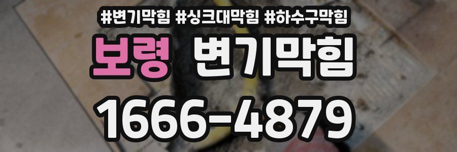 변기막힘
