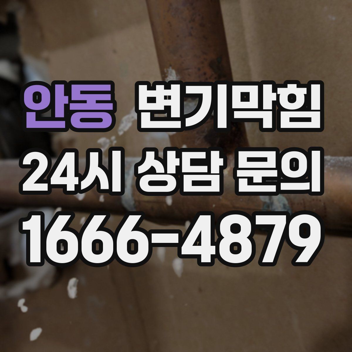 안동 변기막힘 카페 변기뚫기 도어 오픈 전 마감