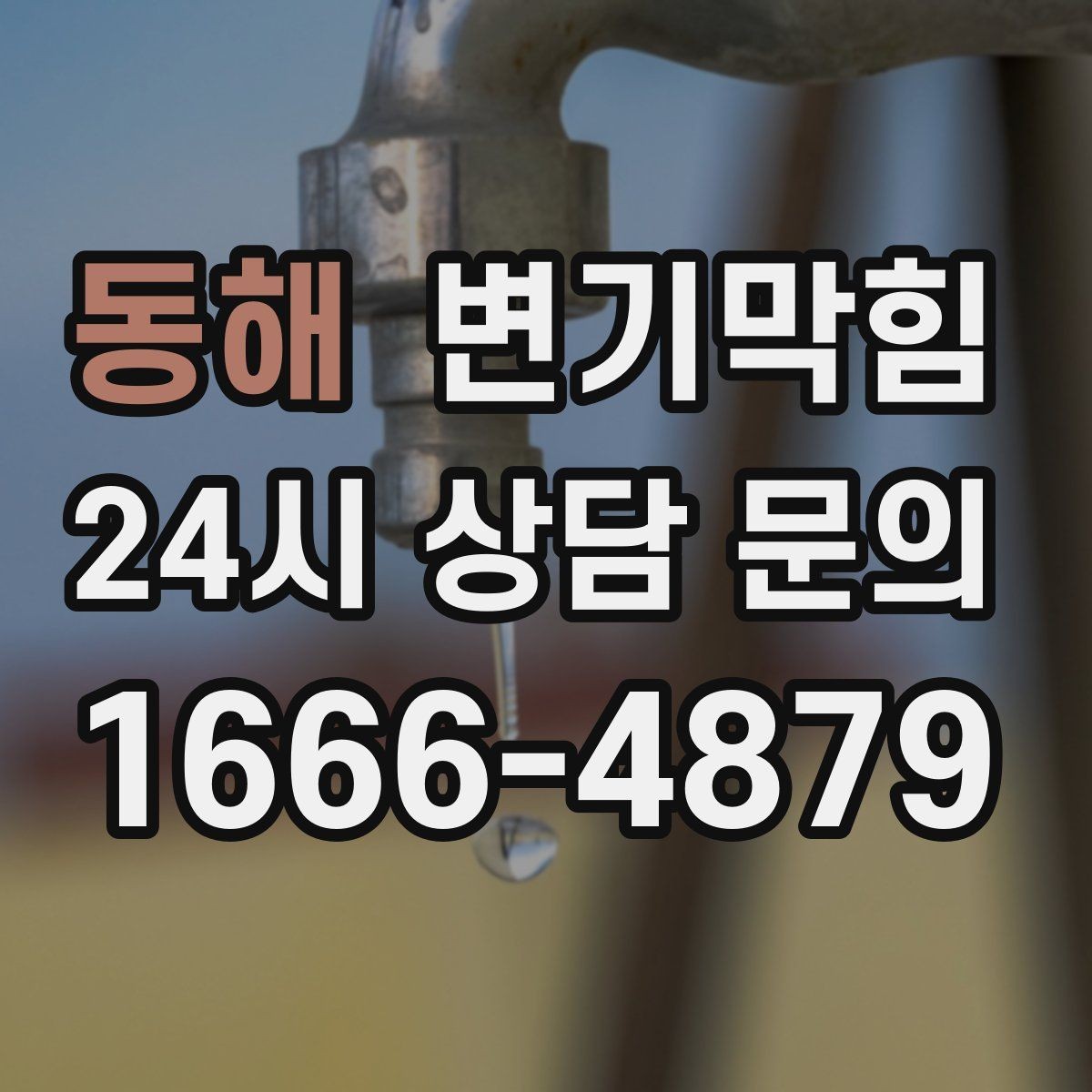 동해 변기막힘 단독 주택 화장실역류 저층 집중 점검