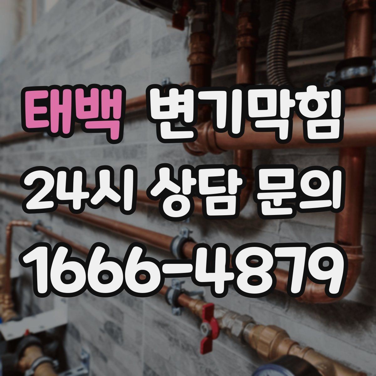 태백 변기막힘 아파트 화장실역류 데이터로 본 개선