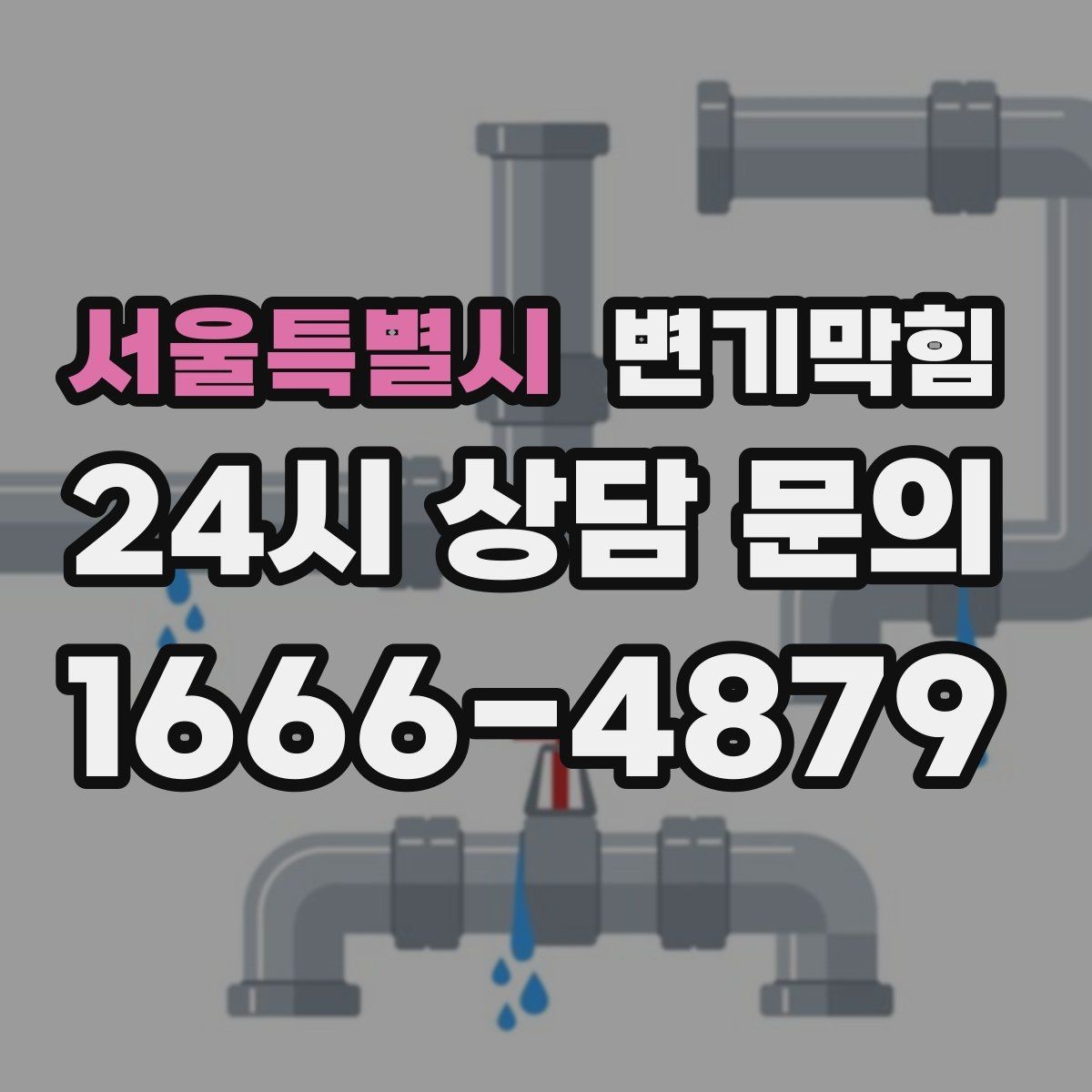 서울특별시 변기막힘 변기가막혔을때 장시간 방치 위험