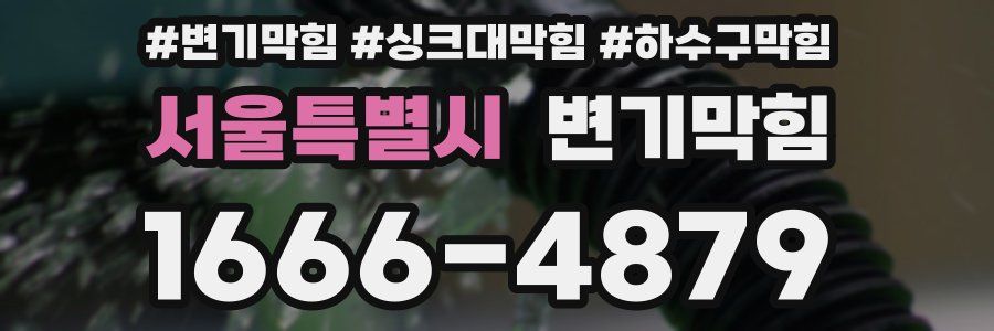 변기막힘