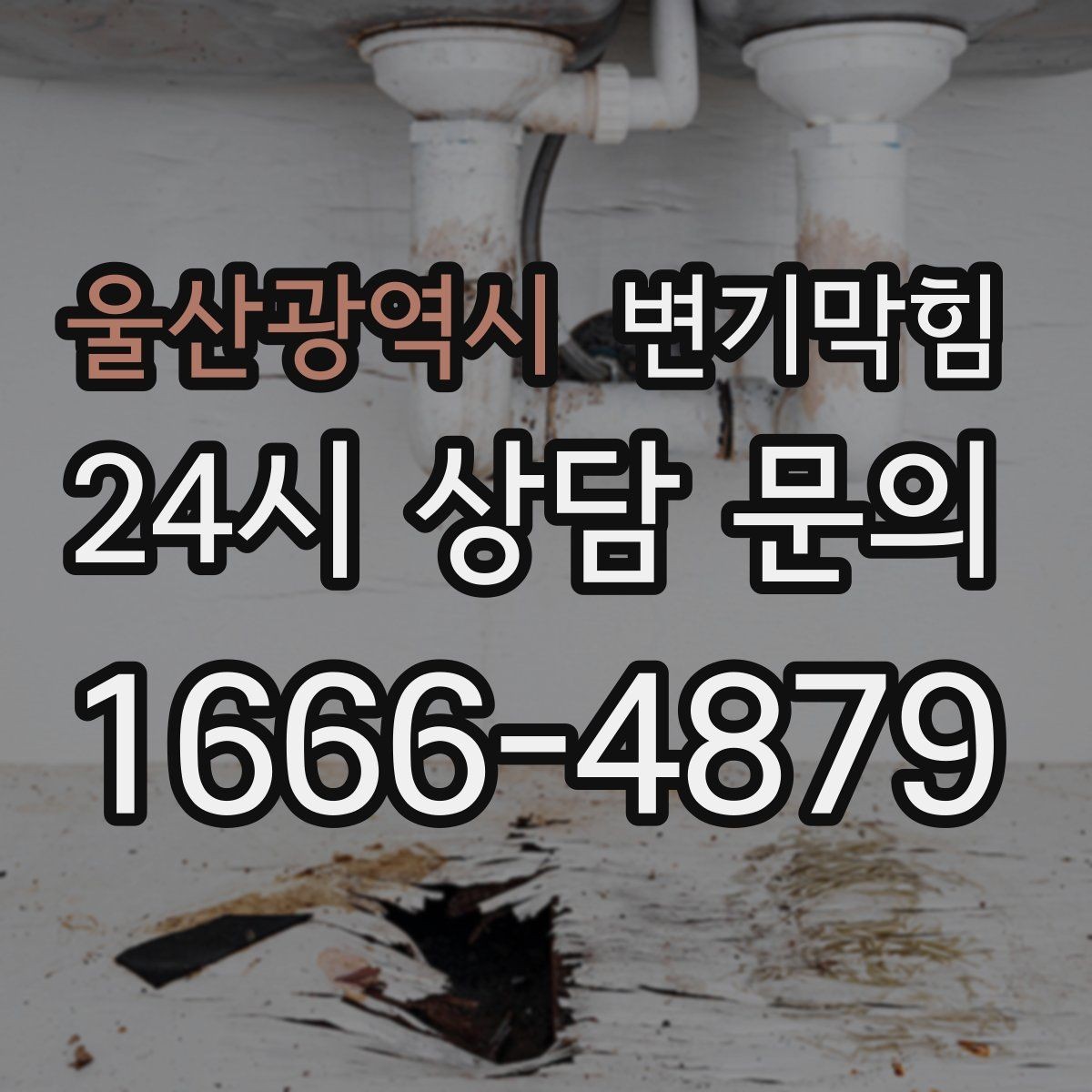 울산광역시 변기막힘 변기막혔을때 바닥 실링 젖음 확인