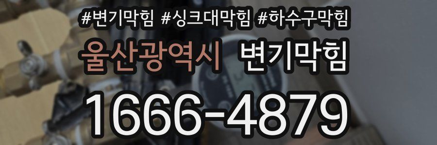 변기막힘