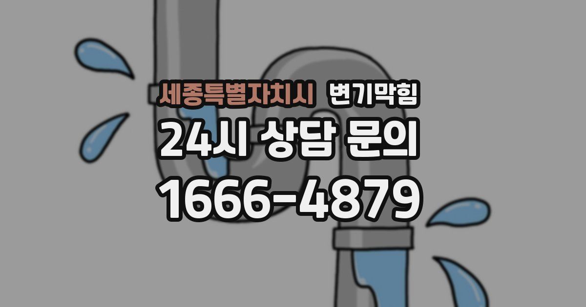 세종특별자치시 변기