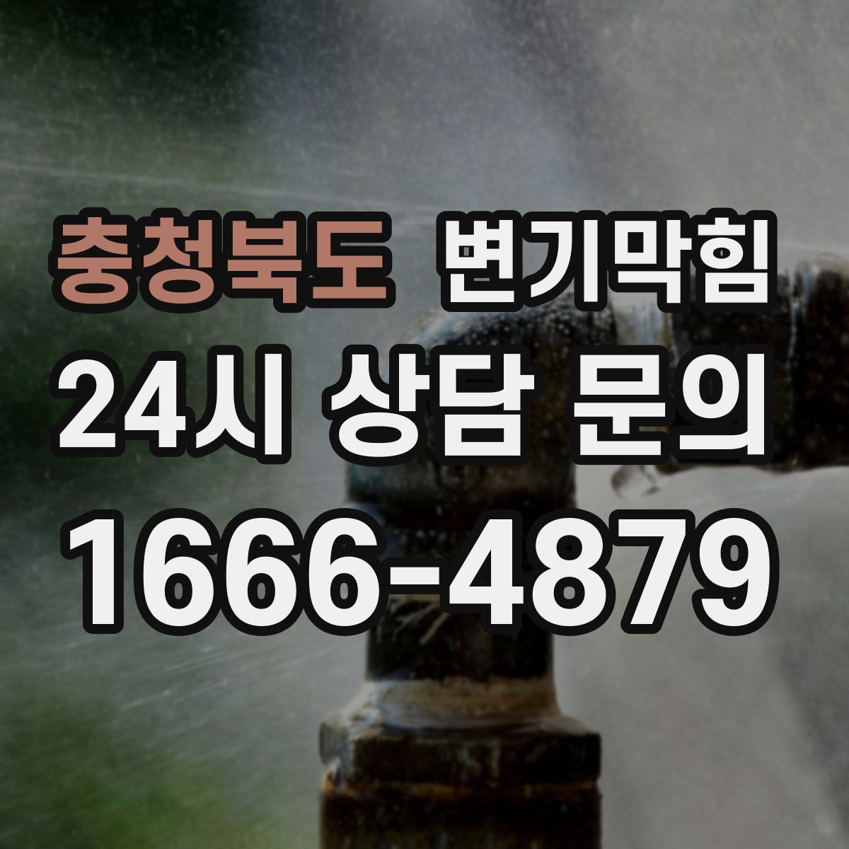 충청북도 변기막힘