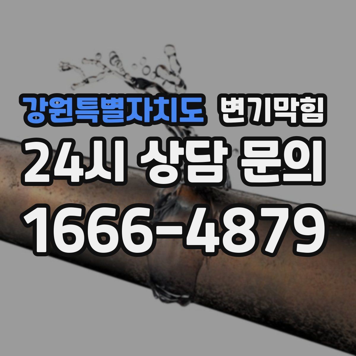 강원특별자치도 변기막힘 원룸 화장실역류 내시경으로 병목 캡처