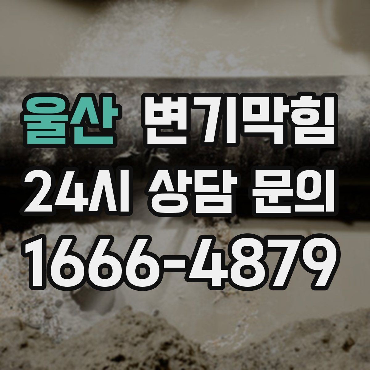 울산 변기막힘 상가 화장실역류 표준 응대 프로세스