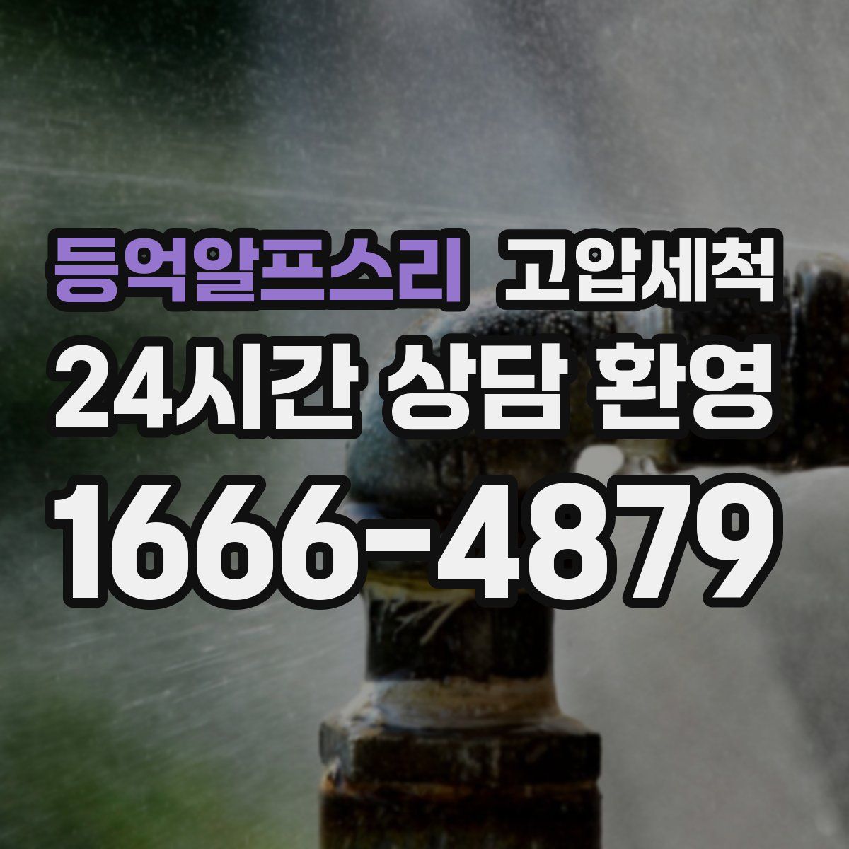 등억알프스리 고압세척