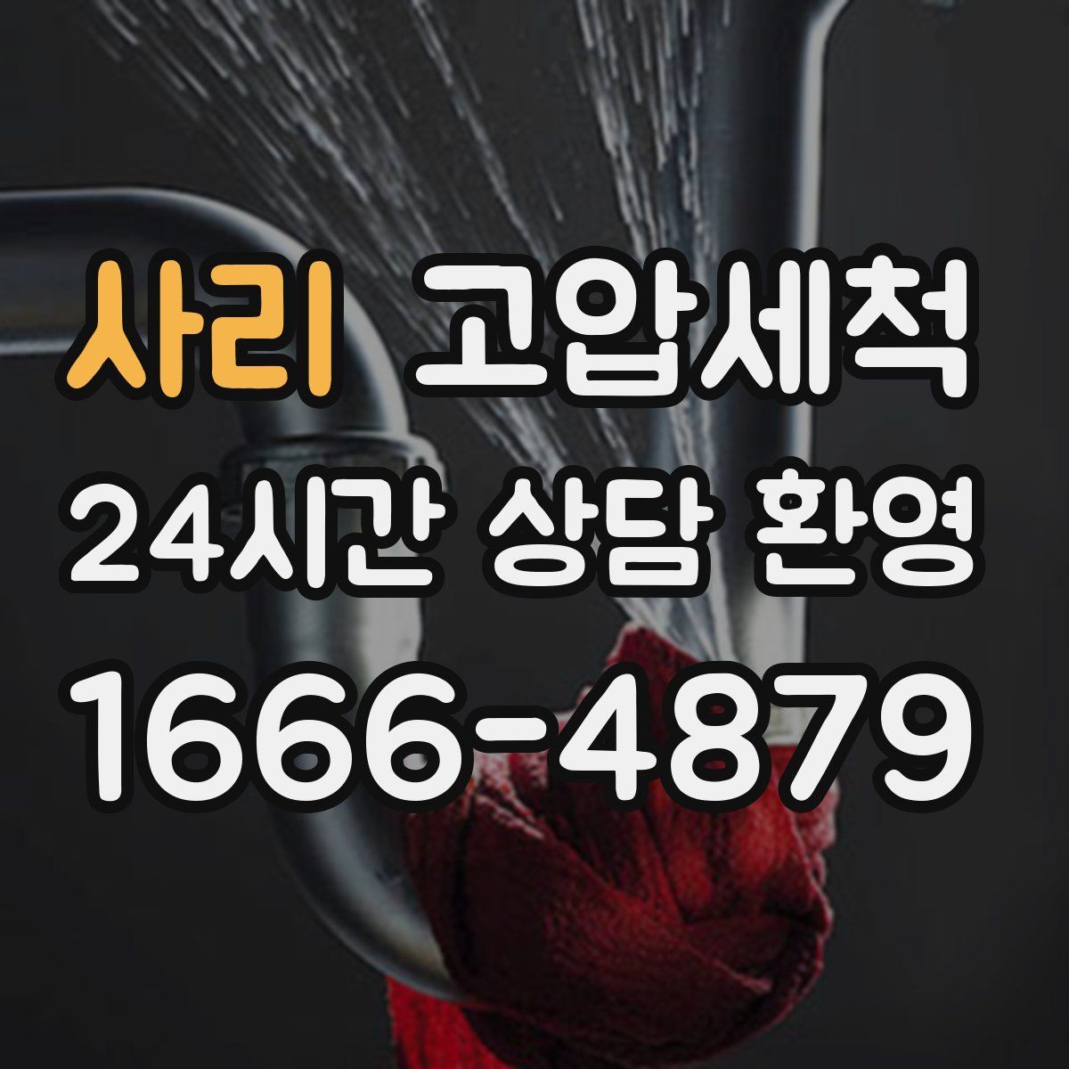 사리 고압세척
