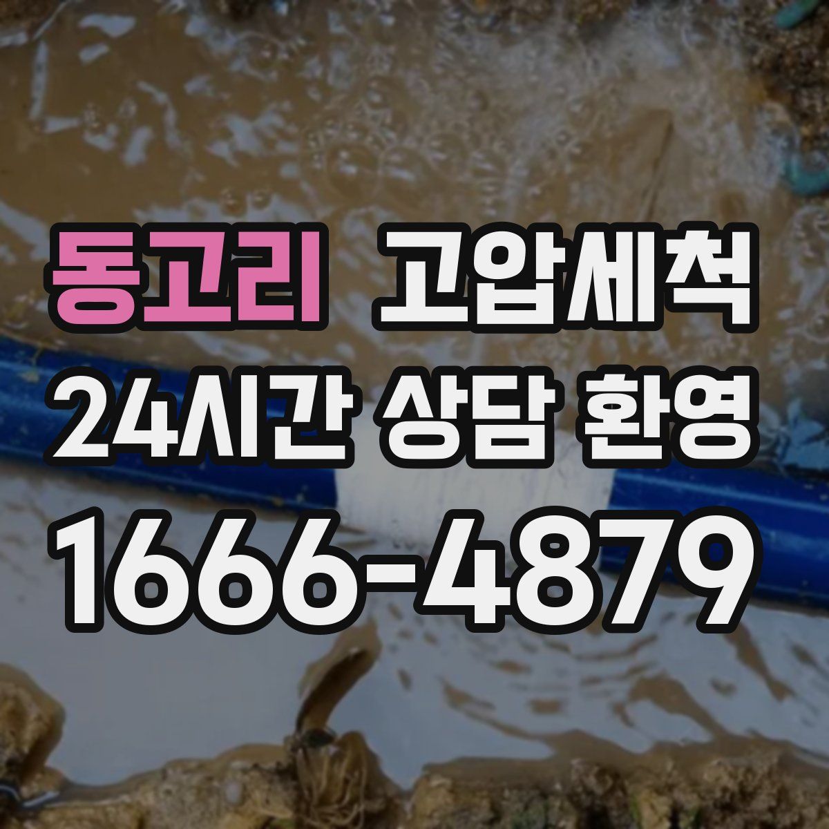 동고리 고압세척