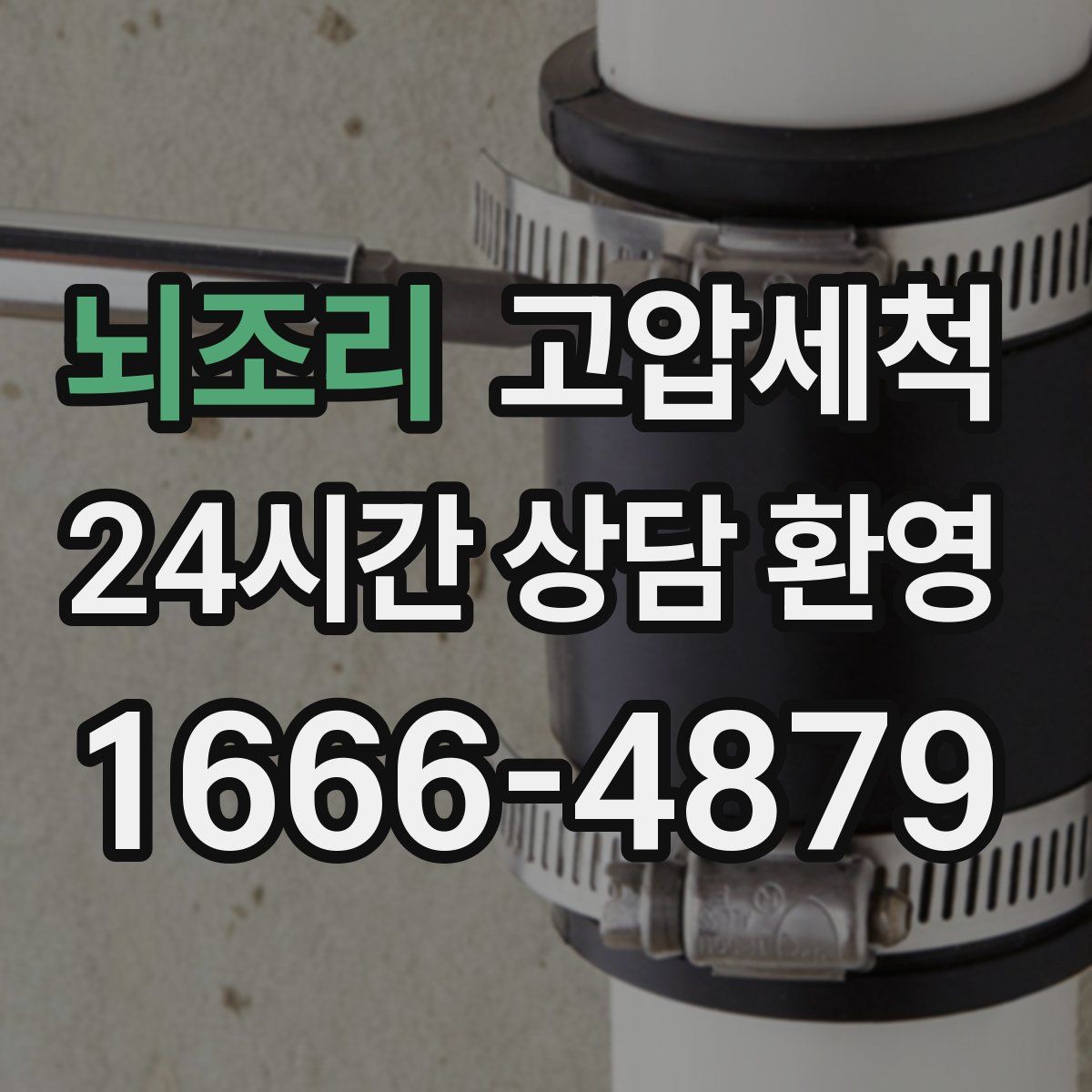 뇌조리 고압세척