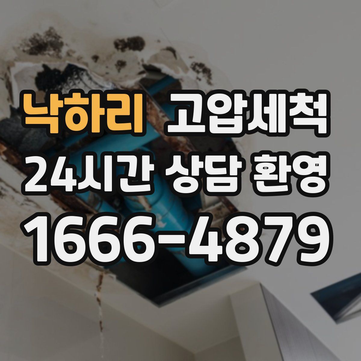 낙하리 고압세척