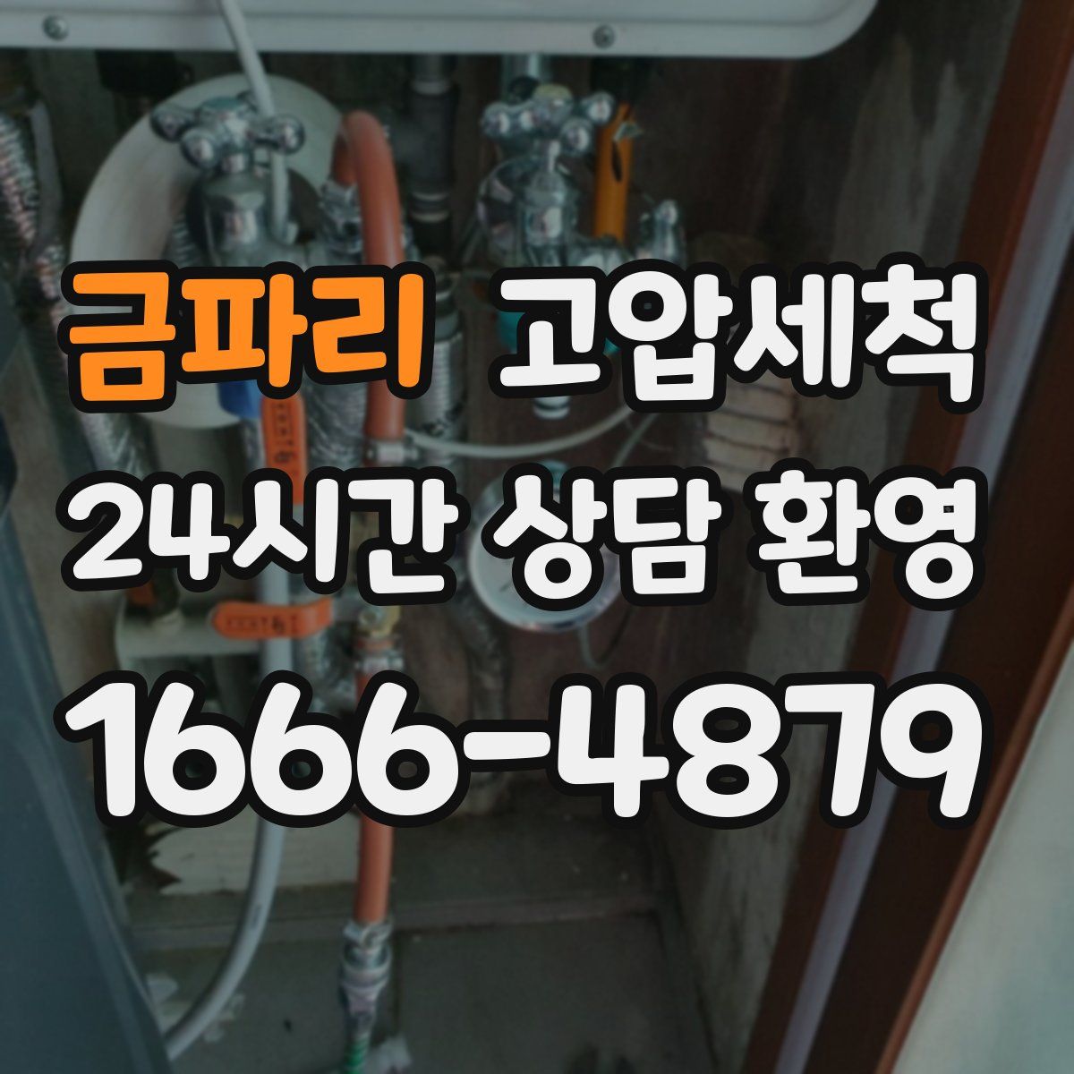 금파리 고압세척