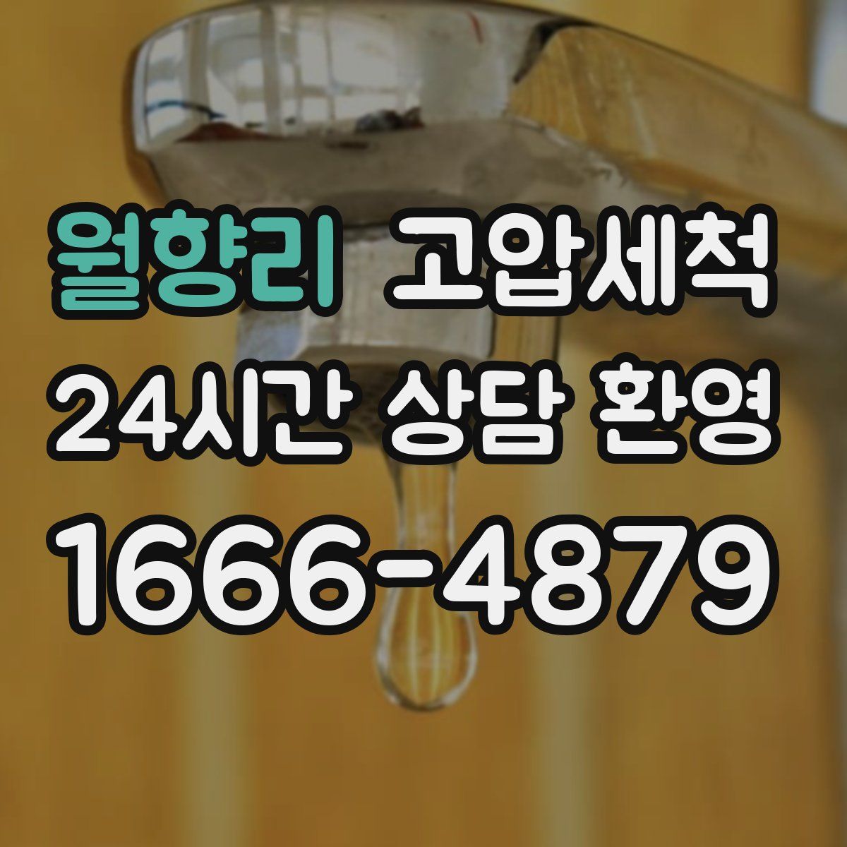 월향리 고압세척