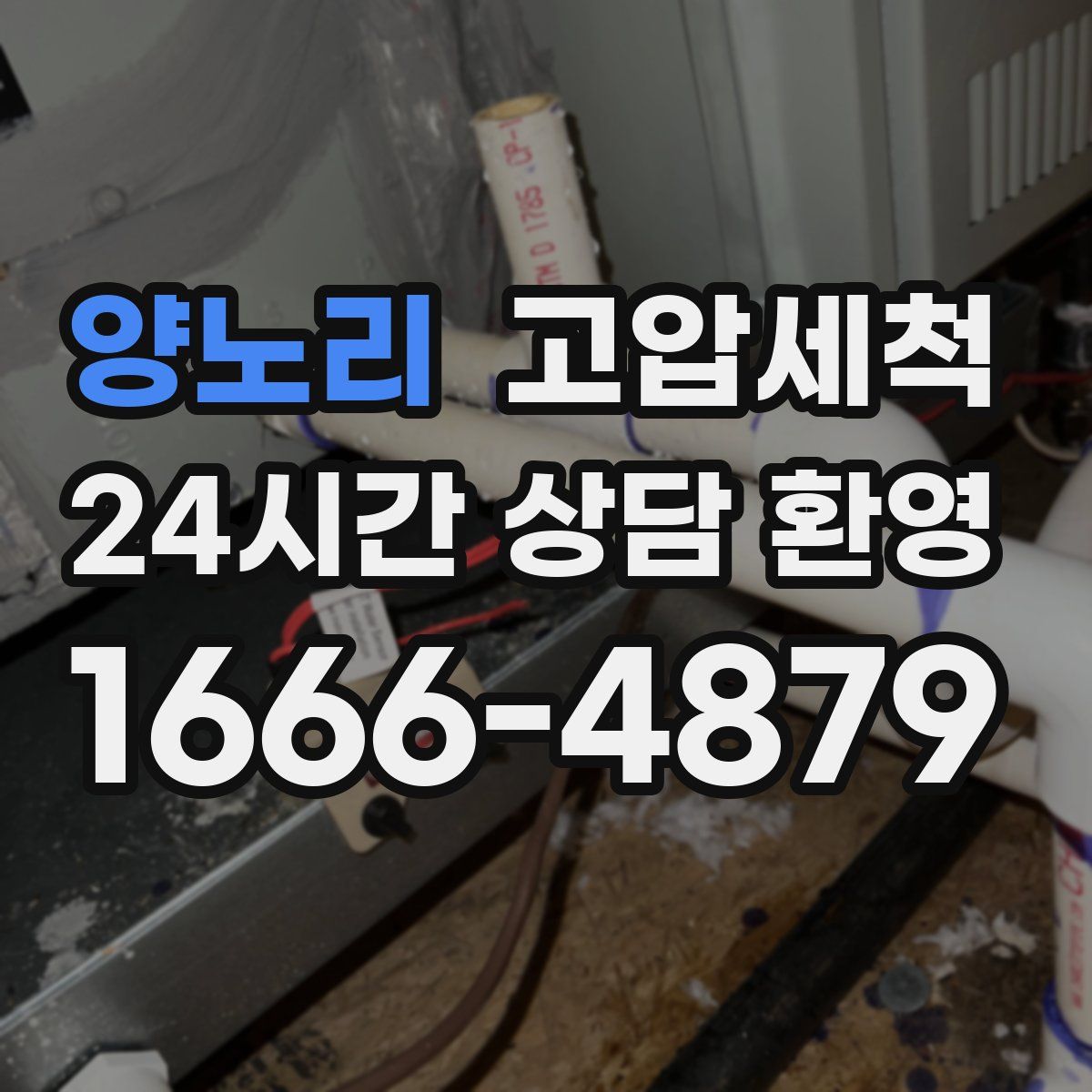 양노리 고압세척