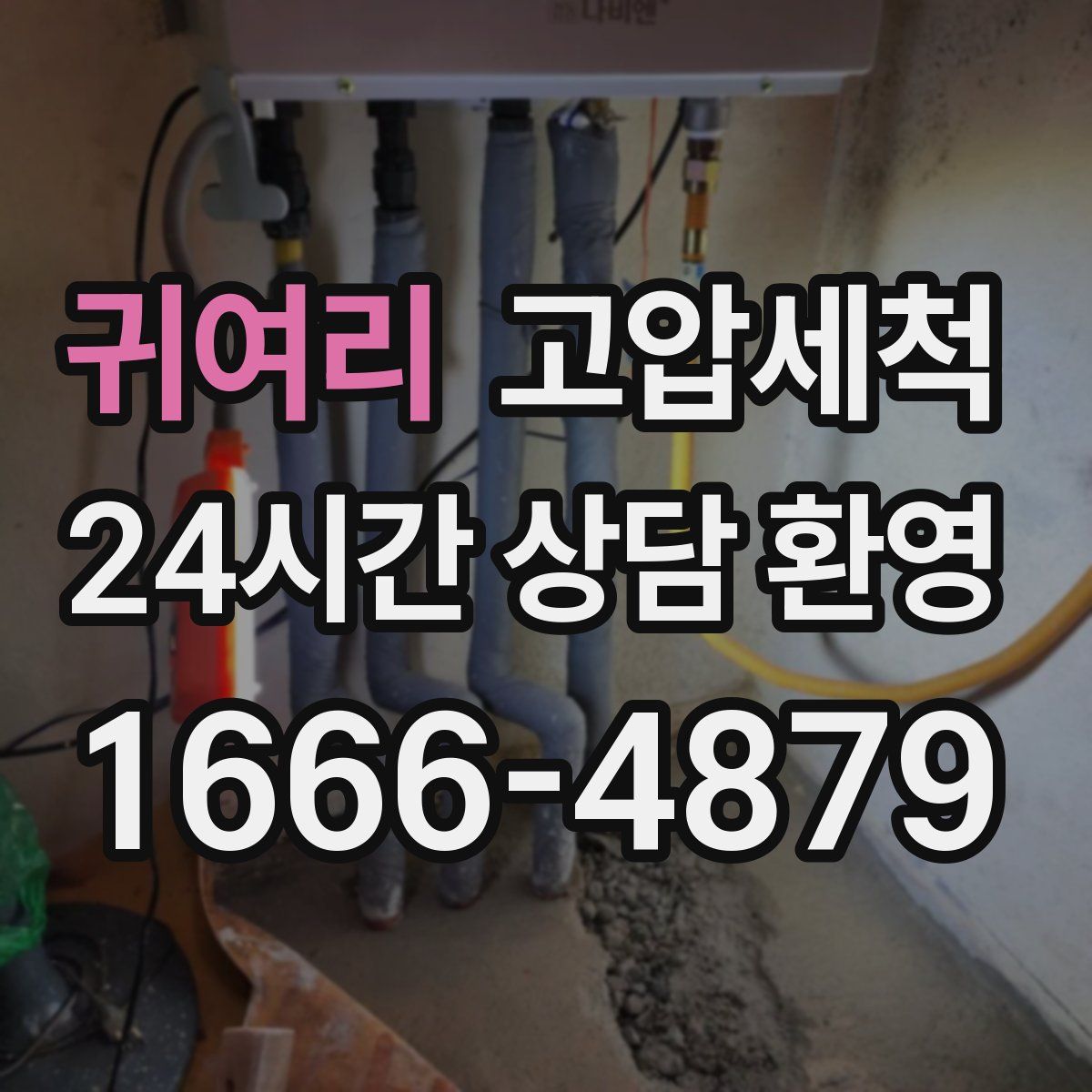 귀여리 고압세척