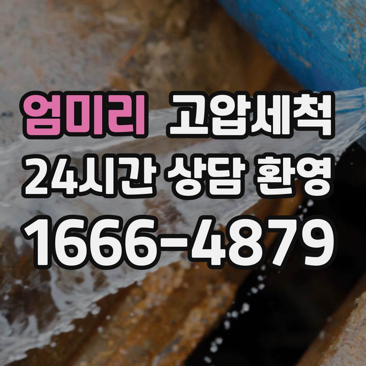 엄미리 고압세척