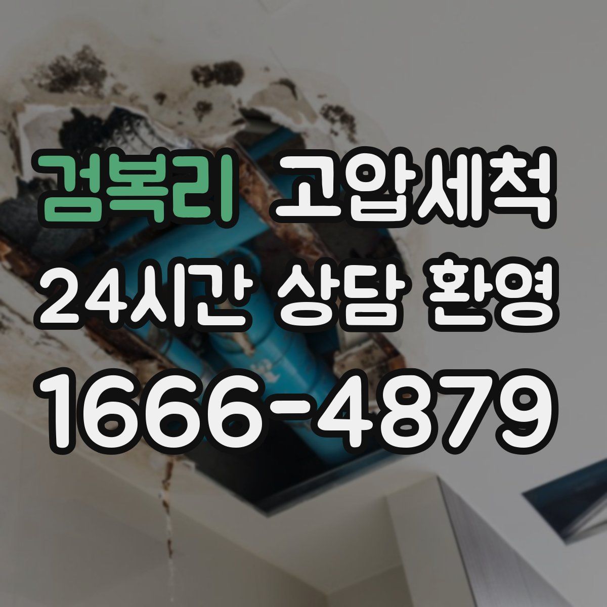 검복리 고압세척