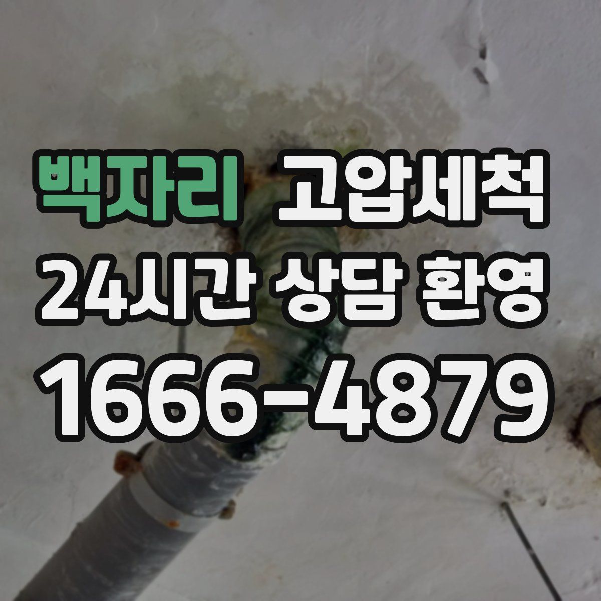 백자리 고압세척