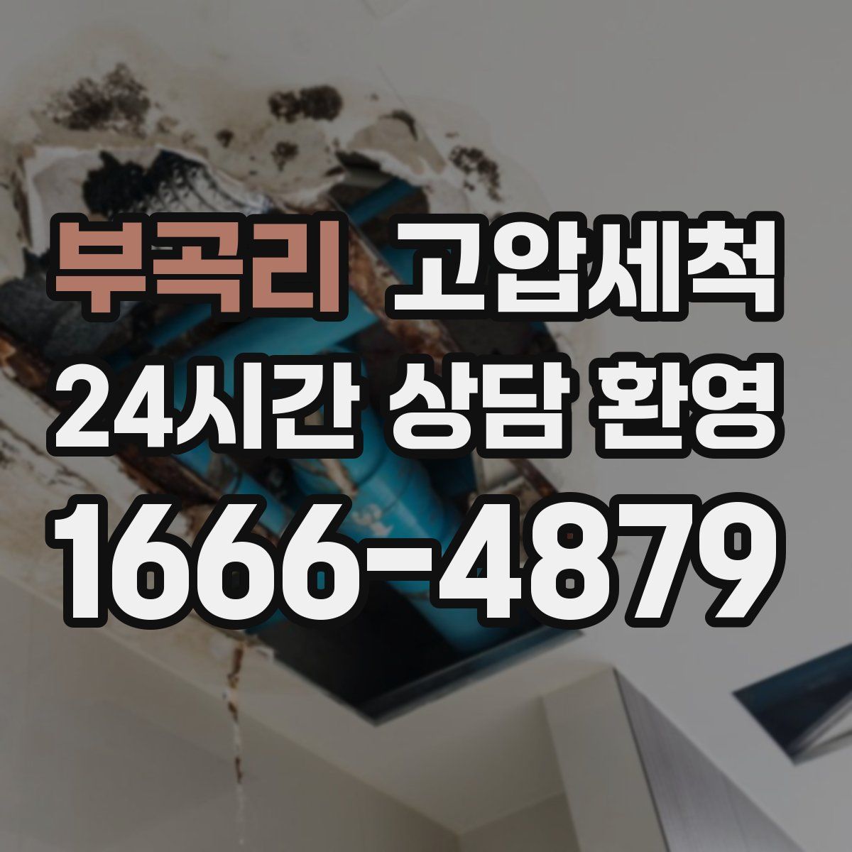 부곡리 고압세척