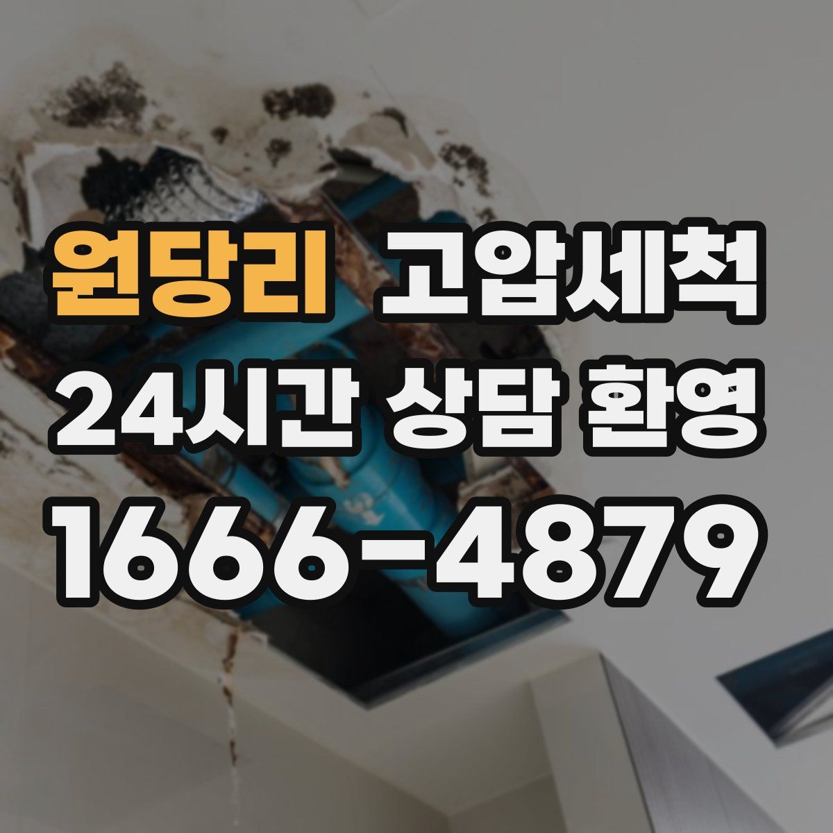 원당리 고압세척