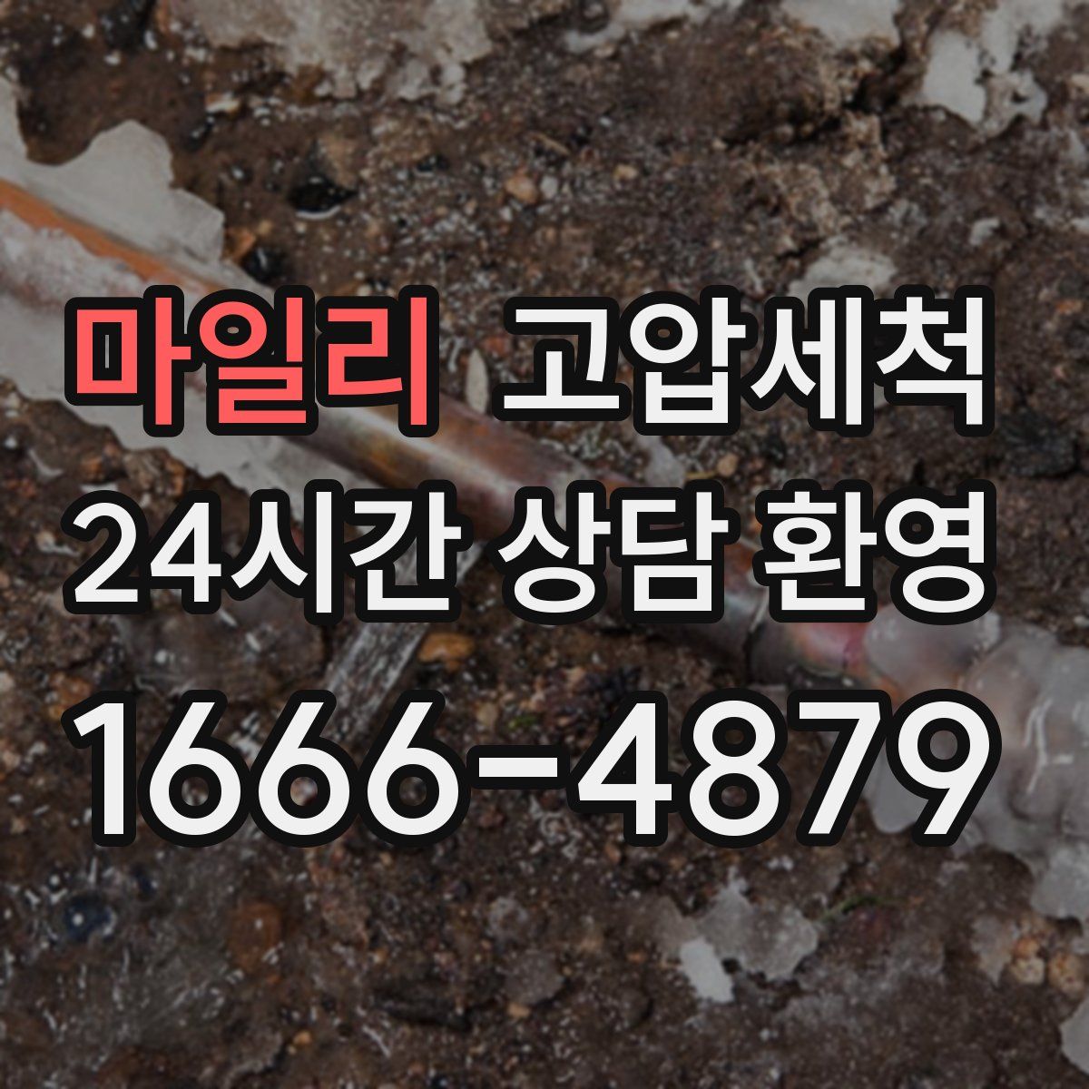 마일리 고압세척