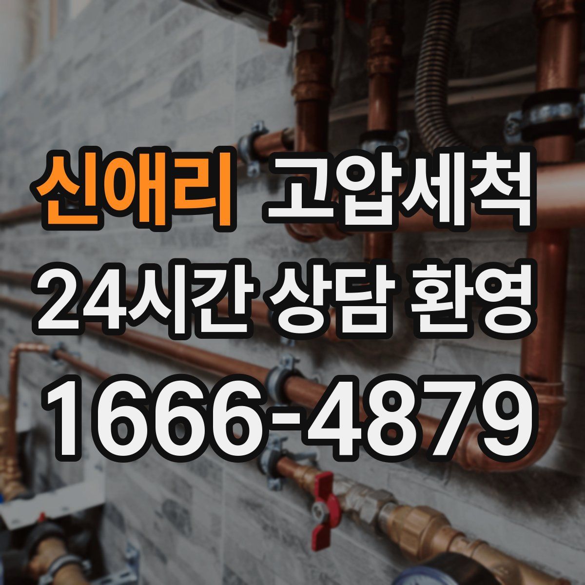 신애리 고압세척