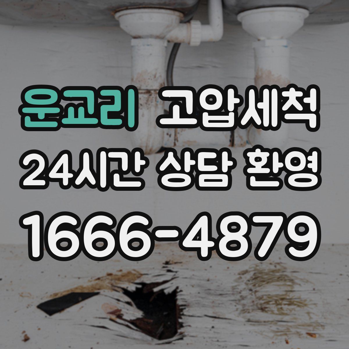 운교리 고압세척