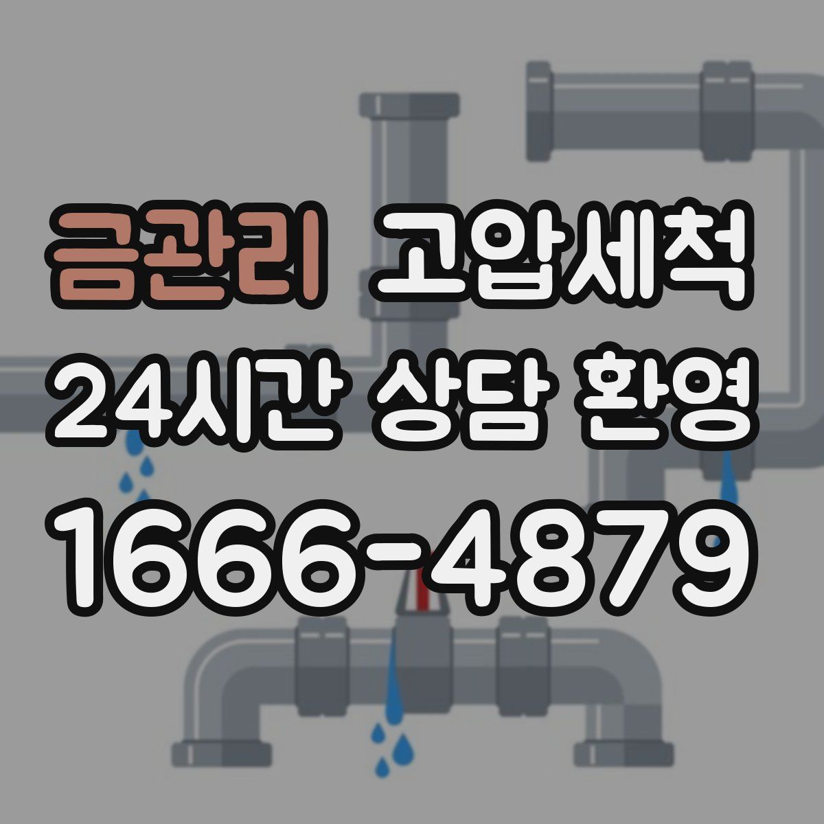 금관리 고압세척