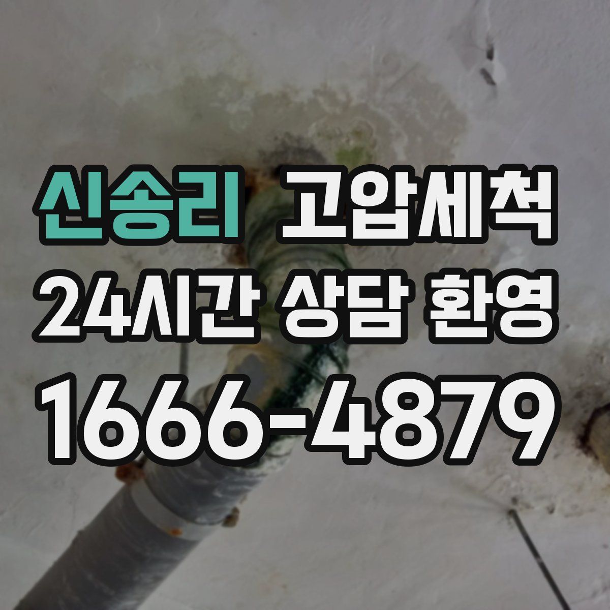 신송리 고압세척