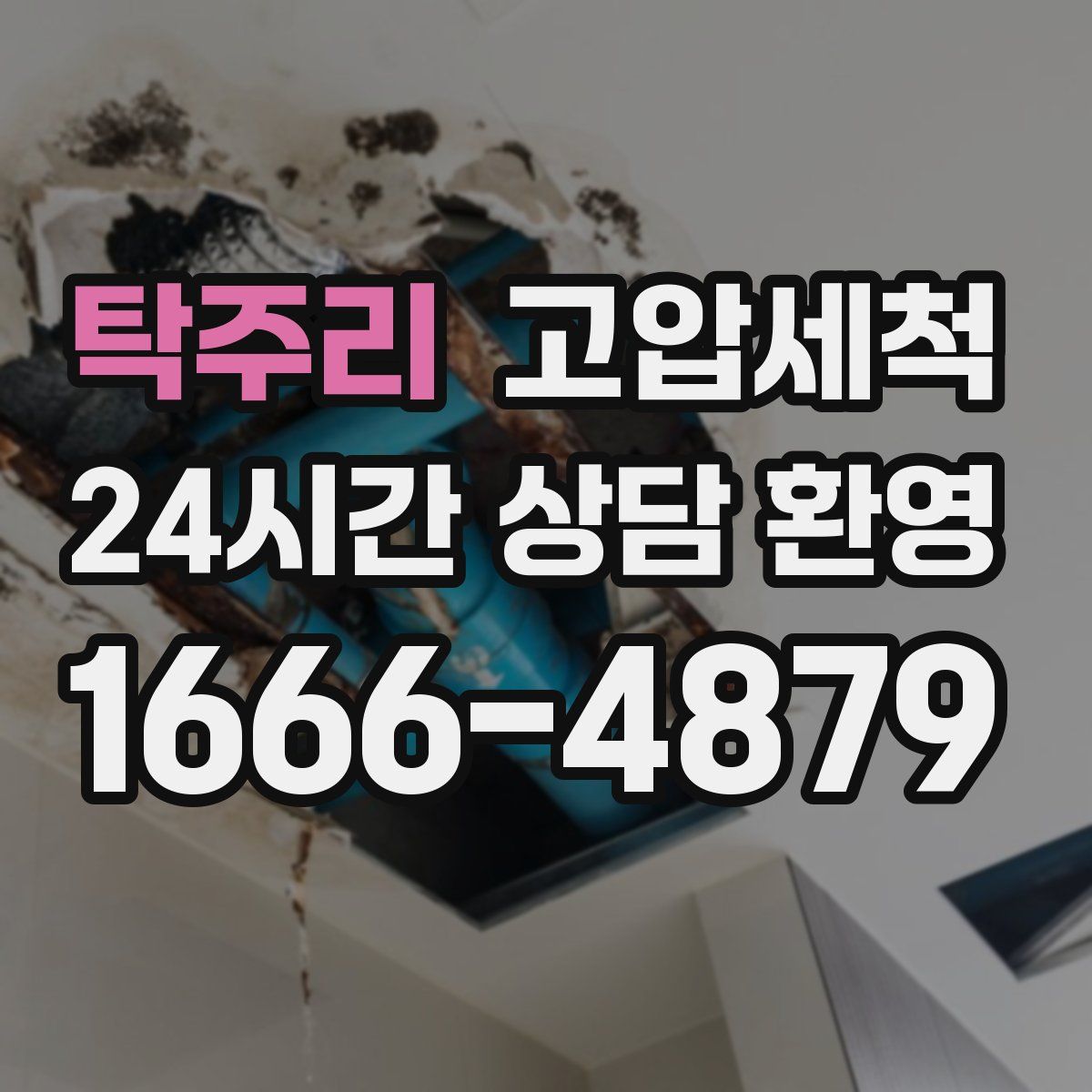 탁주리 고압세척