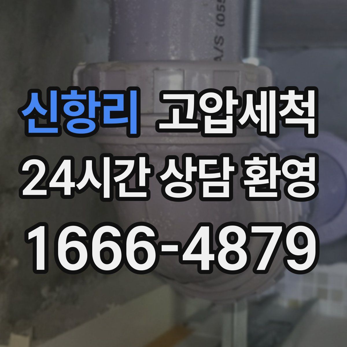 신항리 고압세척