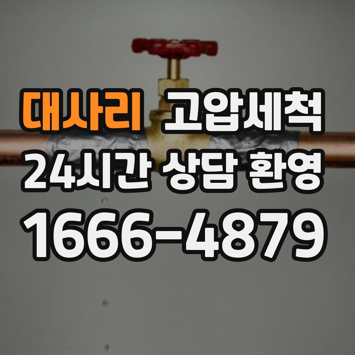 대사리 고압세척