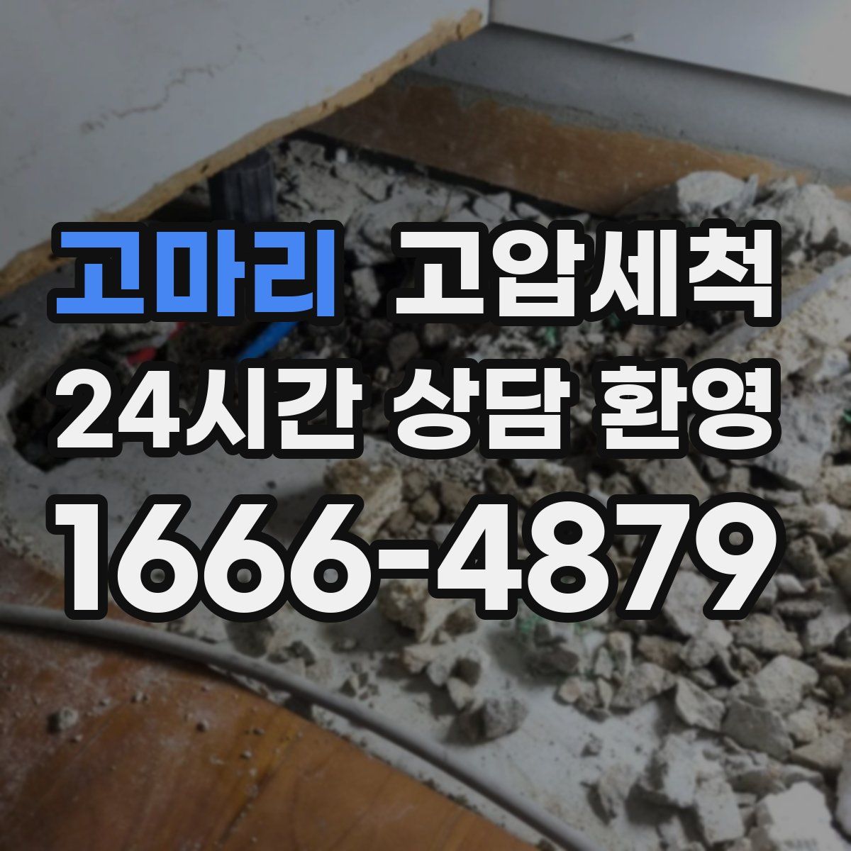 고마리 고압세척