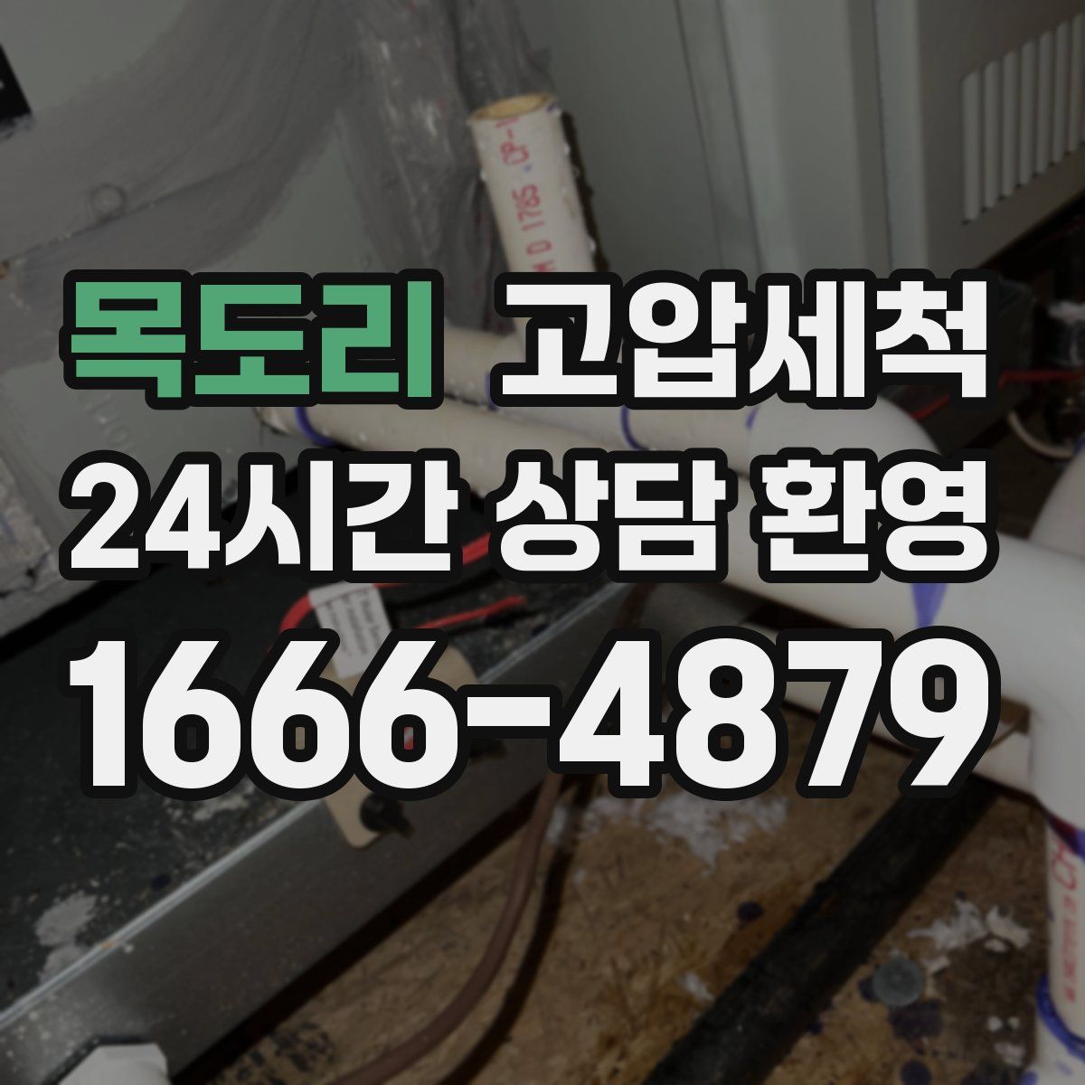 목도리 고압세척