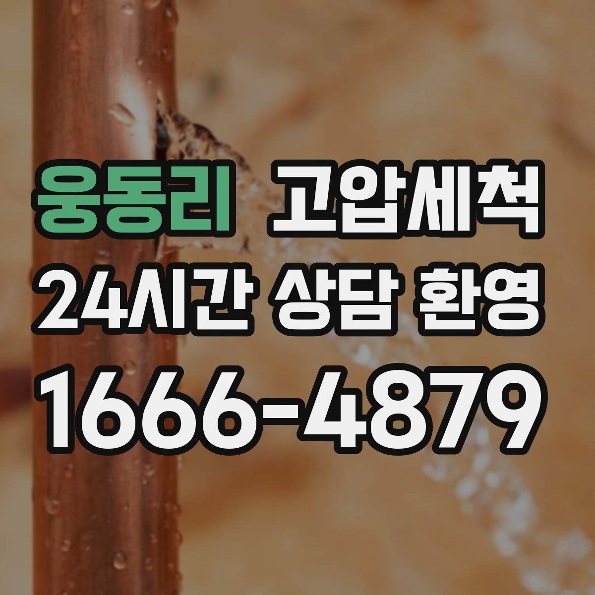 웅동리 고압세척