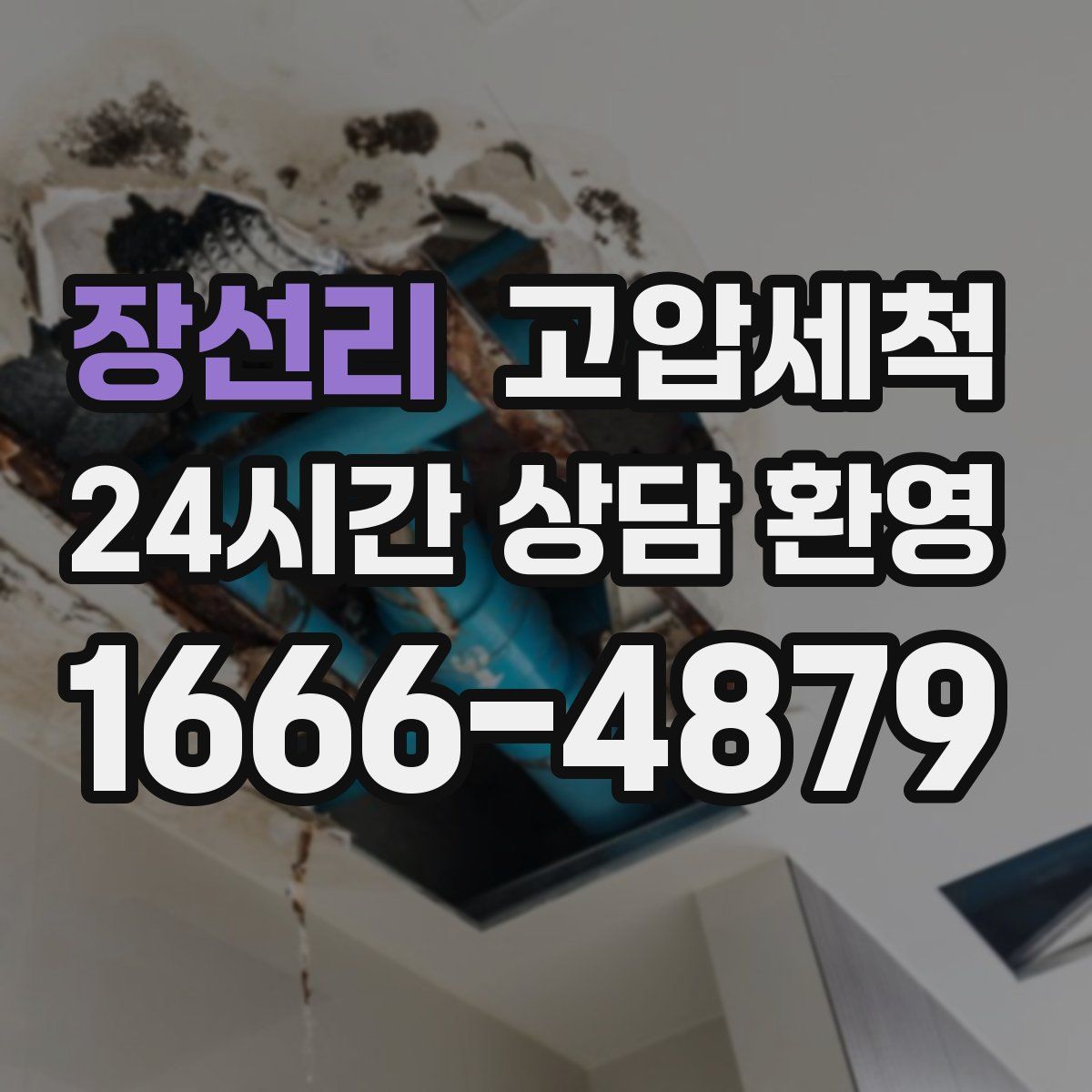 장선리 고압세척