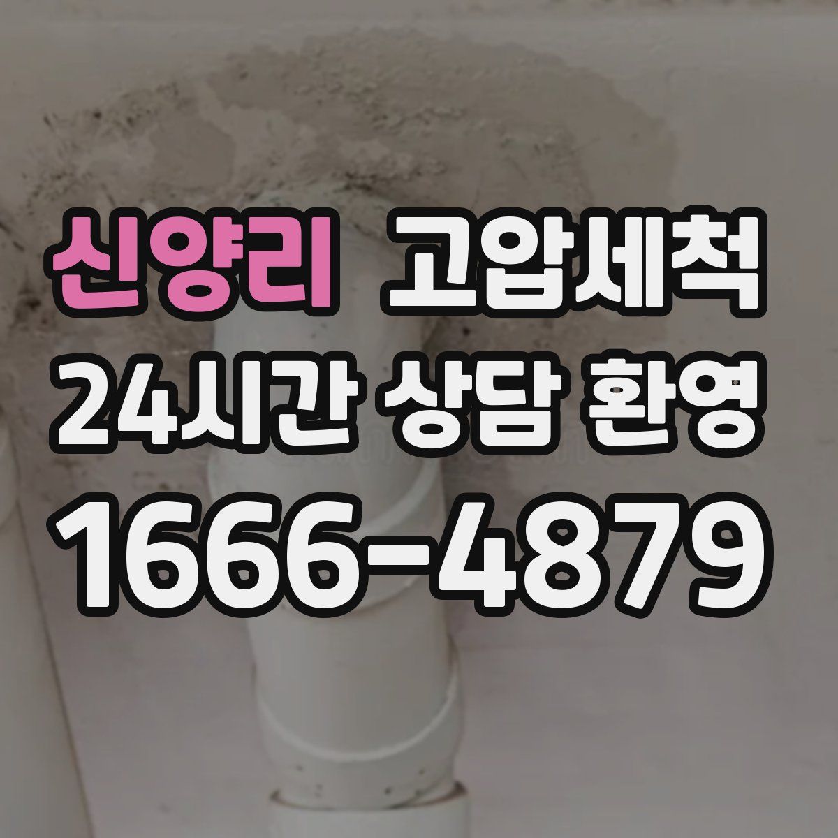 신양리 고압세척