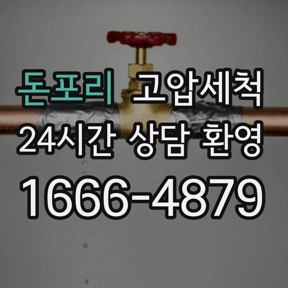 돈포리 고압세척