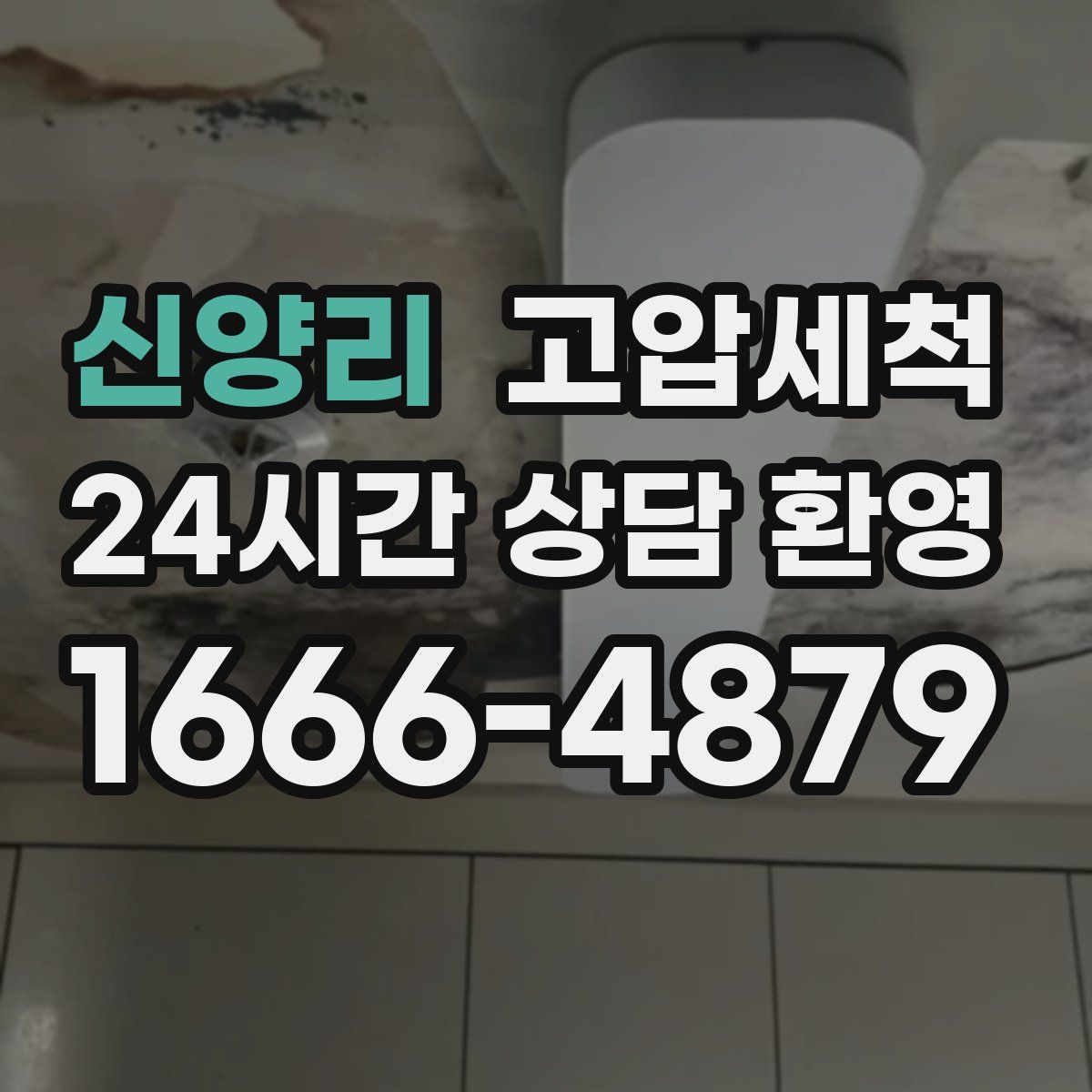 신양리 고압세척