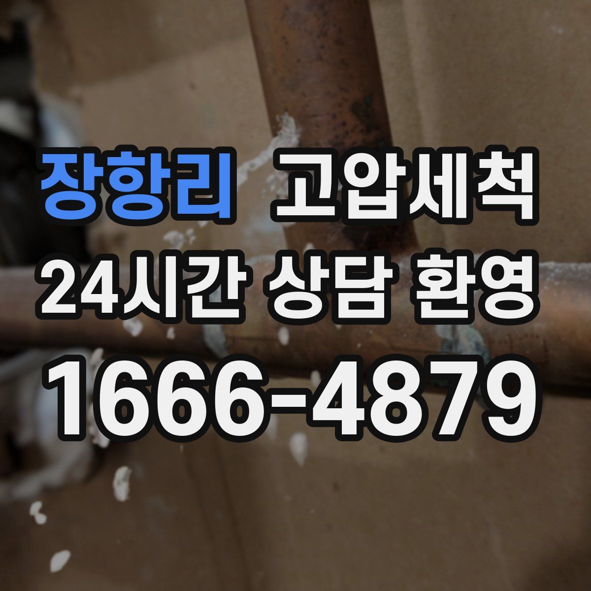 장항리 고압세척