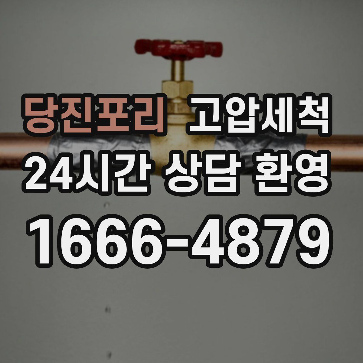 당진포리 고압세척
