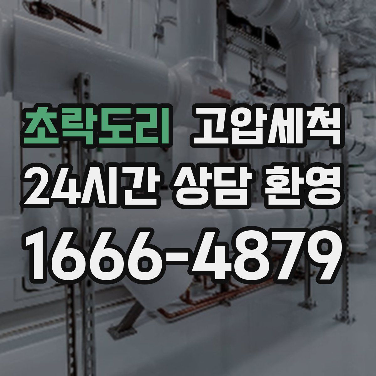 초락도리 고압세척