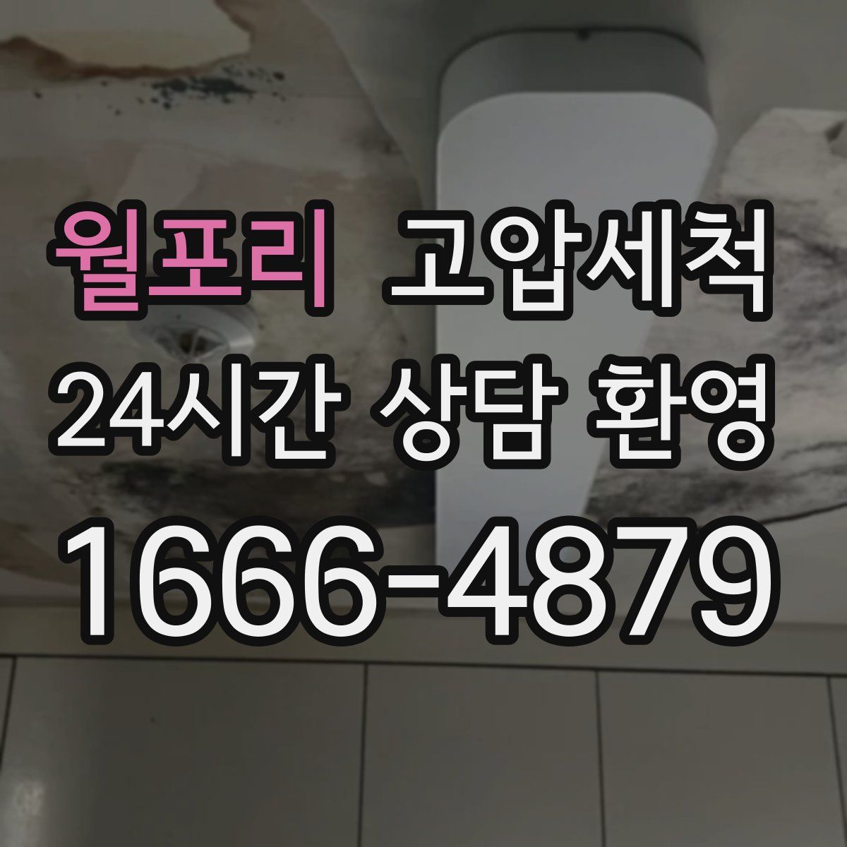 월포리 고압세척